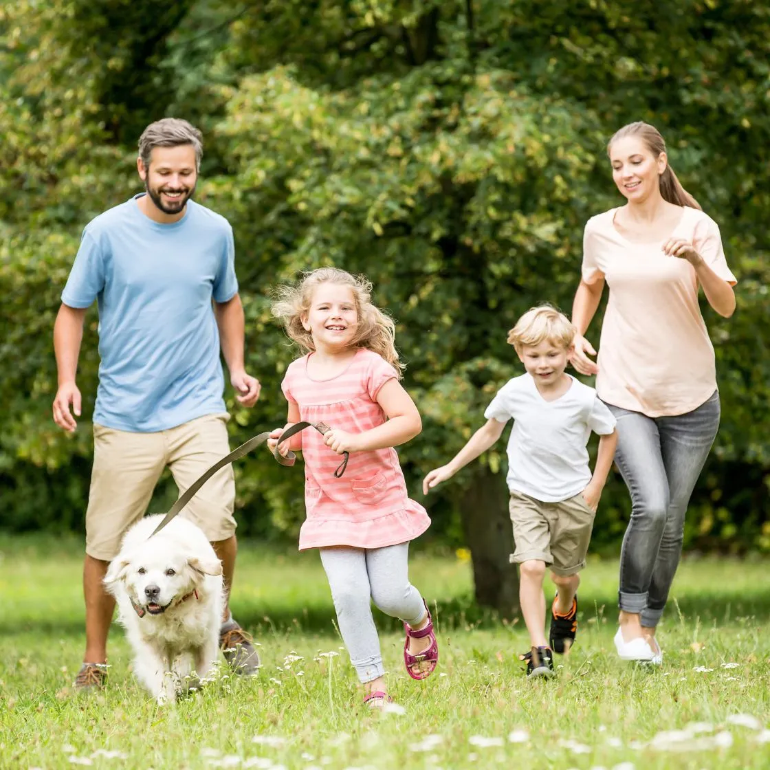 Fallback-Mobile-Slide-3